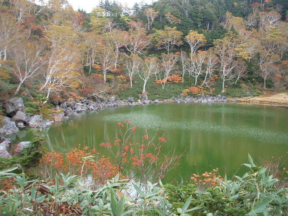 Natural Pension Pumpkin Otari ภายนอก รูปภาพ