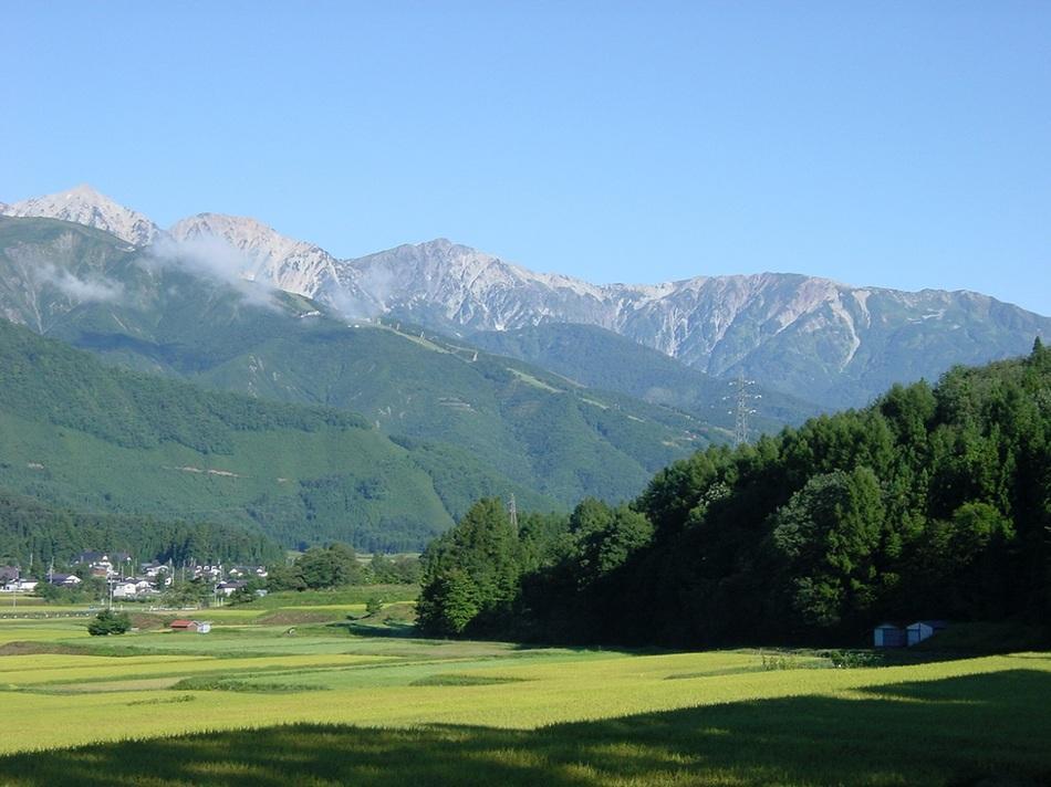 Natural Pension Pumpkin Otari ภายนอก รูปภาพ
