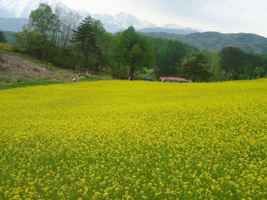 Natural Pension Pumpkin Otari ภายนอก รูปภาพ