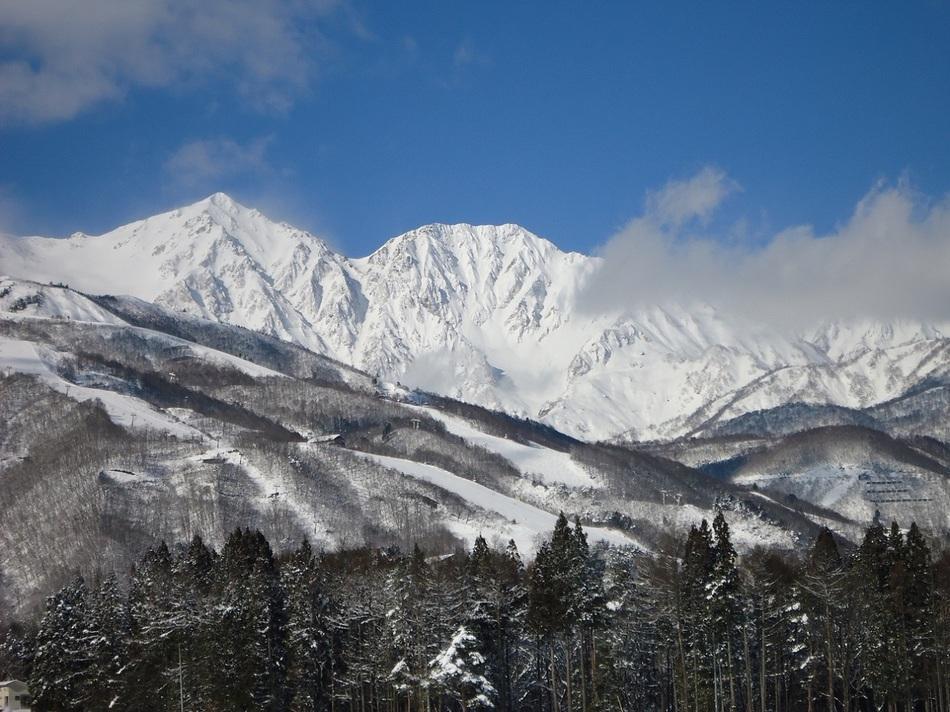 Natural Pension Pumpkin Otari ภายนอก รูปภาพ