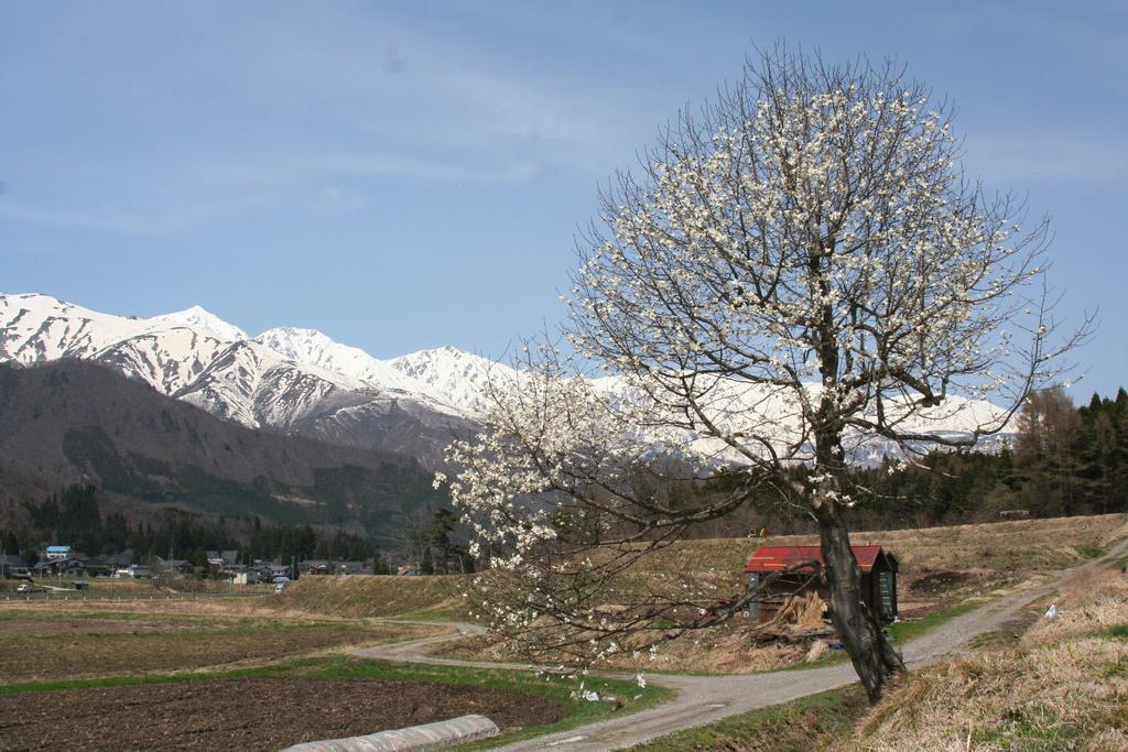 Natural Pension Pumpkin Otari ภายนอก รูปภาพ