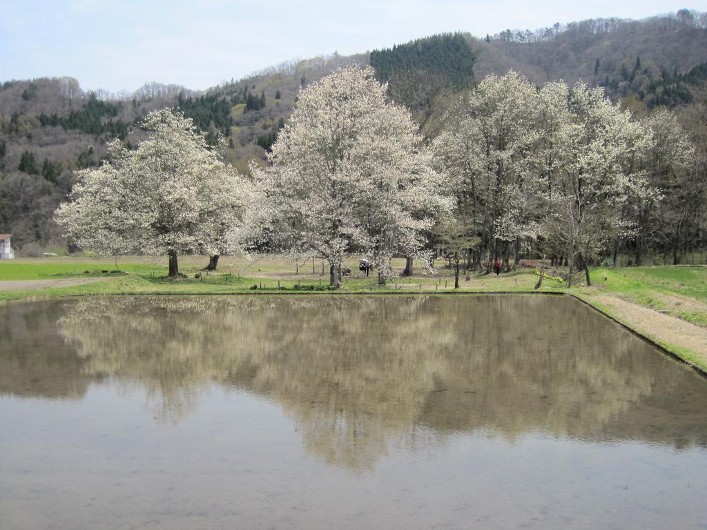Natural Pension Pumpkin Otari ภายนอก รูปภาพ